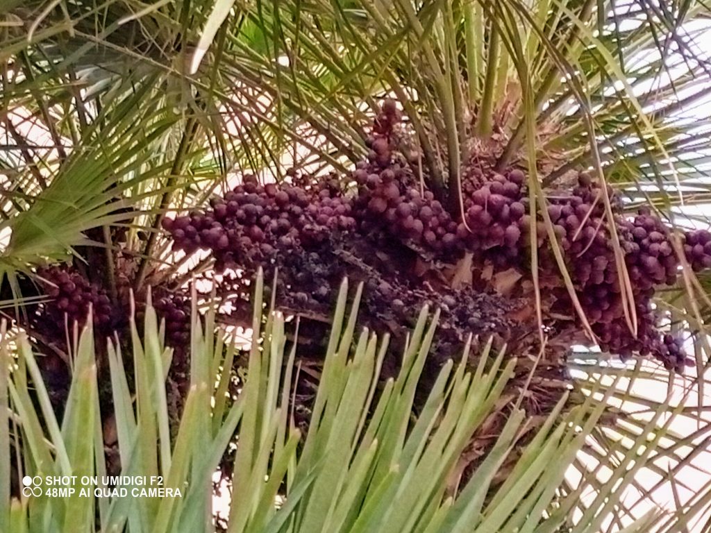 IMG 20200226 101116 3