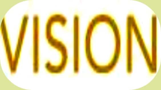 Vision