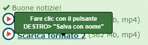 Il mondo dello streaming: RaiPlay 12 image 8