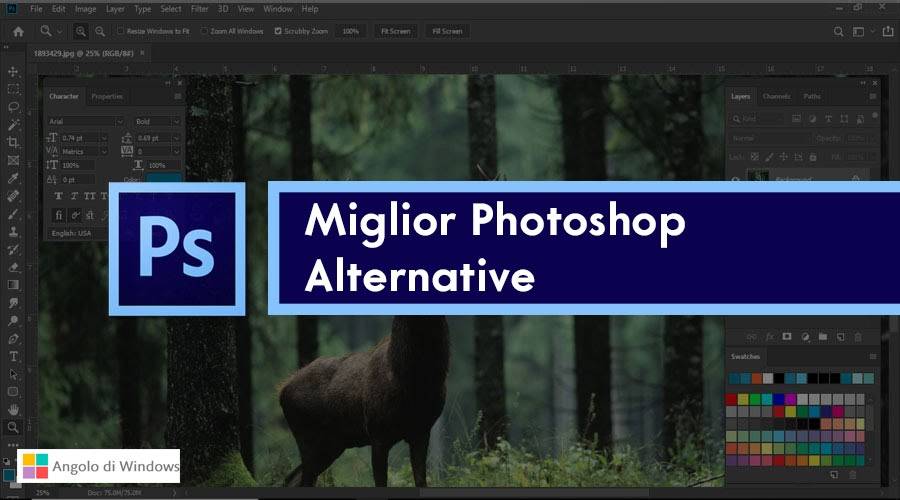 Le Migliori Alternative Gratuite a Photoshop