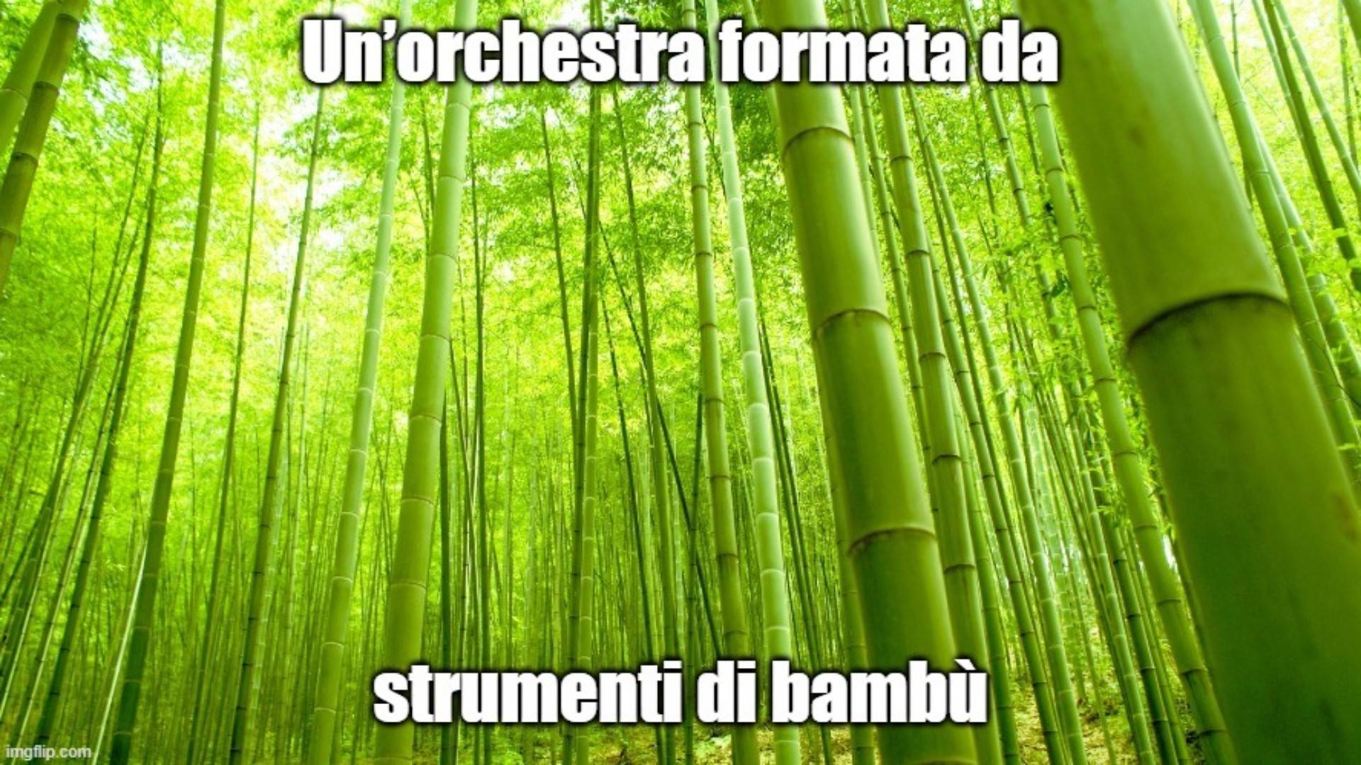 Bambù