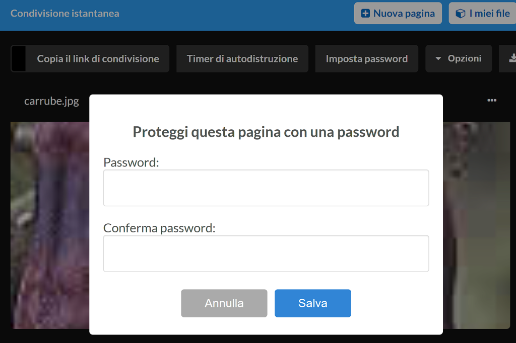 Condivisione istantanea: è appena nato un nuovo servizio online! 17 image 10