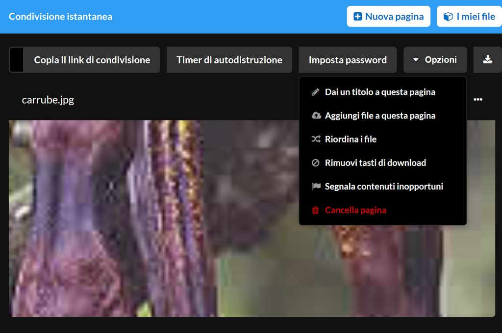 Condivisione istantanea: è appena nato un nuovo servizio online! 18 image 11