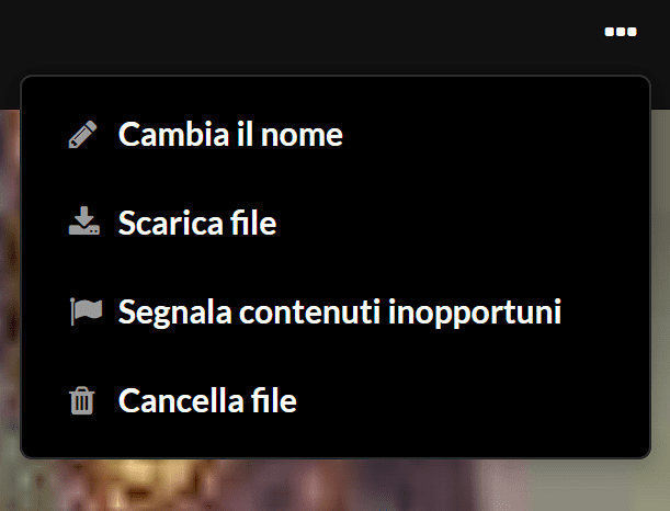 Condivisione istantanea: è appena nato un nuovo servizio online! 19 image 12