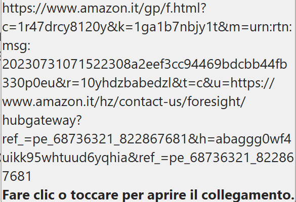 Amazon si è accorta dei truffatori 16 image 40