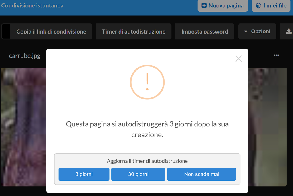 Condivisione istantanea: è appena nato un nuovo servizio online! 16 image 9