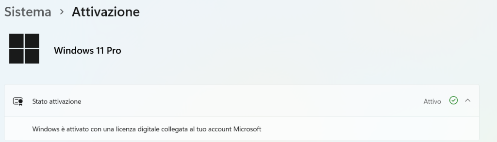 Come attivare Windows 11: una guida completa 12 Screenshot 2024 01 13 104925
