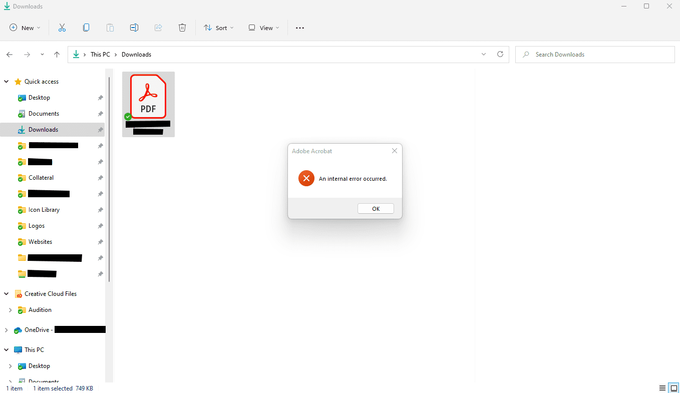 errore interno con anteprima Adobe